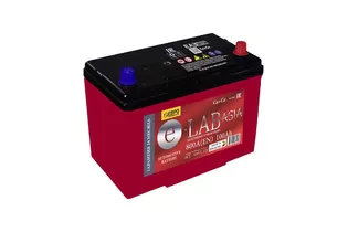 E-Lab Asia 6CT-100D31L 100 A/h 800 A R+ 310x175x200(220) мм