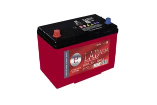 E-Lab Asia 6CT-100D31R 100 A/h 800 A L+ 310x175x200(220) мм