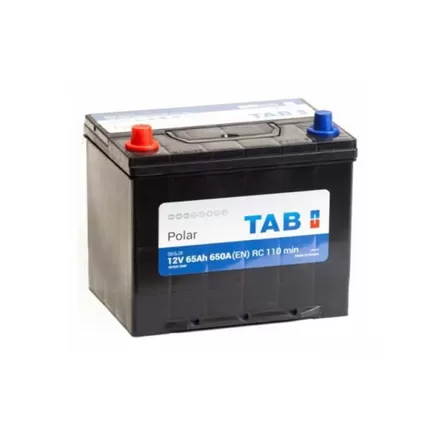 TAB Polar S Asia 65 A/h 650 А L+ 230x175x220 мм (с бортом)