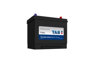 TAB Polar S Asia 65 A/h 650 А R+ 230x175x220 мм (с бортом)