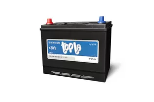 Topla TOP Asia 95 A/h 850 A L+ 303x174x218 мм