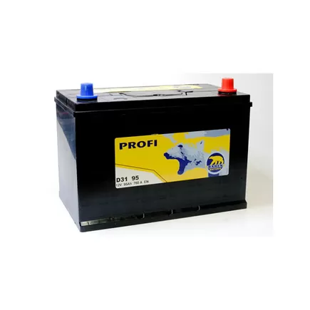 Baren Profi (595150) 95 A/h 760 A R+ 306x175x200 мм