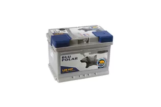 Baren Polar Blu 60 A/h 600 А R+ (7905622) 242x175x175 мм