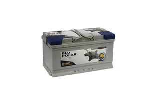 Baren Polar Blu 100 A/h 870 A R+ (7905633) 353x175x190 мм