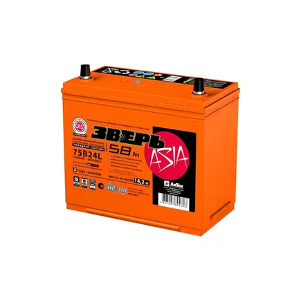 Зверь 75B24L 58 A/h 600 A R+ 238x128x200 мм