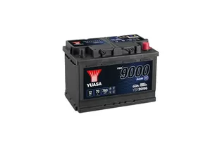Yuasa YBX9096 70 A/h 760 А R+ 278x175x190 мм