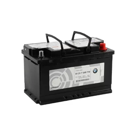 BMW 61217555719 AGM 80 A/h 800 A R+ 315x175x190 мм