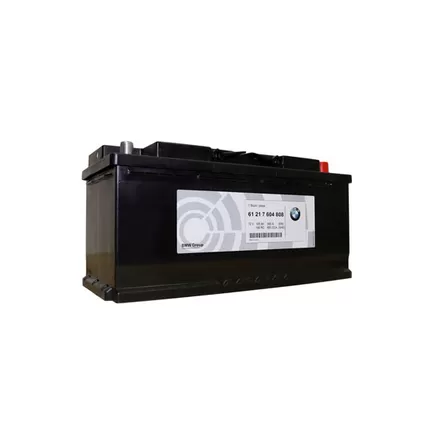 BMW 61217604808 AGM 105 A/h 950 A R+ 393x175x190 мм