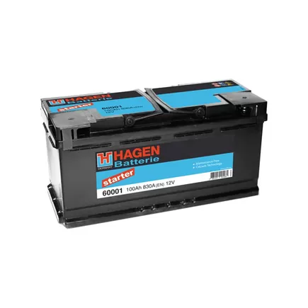 Hagen 60001 100 A/h 830 А R+ 353x175x190 мм