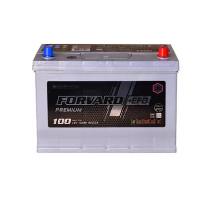 Forvard EFB Asia 100 A/h 850 A R+ 310x175x220 мм