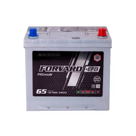 Forvard EFB Asia 65 A/h 640 A R+ 230x175x220 мм