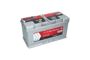 Fiamm Titanium Pro 100 A/h 870 A R+ 353x175x190 мм