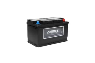 Camel AGM 80 A/h 800 A R+ 315x175x190 мм