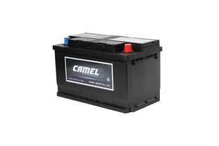 Camel AGM 80 A/h 800 A R+ 315x175x190 мм