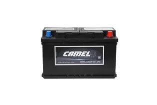 Camel AGM 80 A/h 800 A R+ 315x175x190 мм