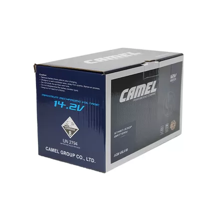 Camel AGM 80 A/h 800 A R+ 315x175x190 мм