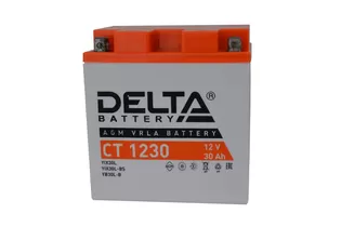 Delta AGM СТ 1230 30 A/h 300 A R+ 166x126x175 мм