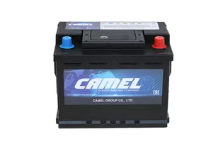 Camel 56219 62 A/h 550 A R+ 242x175x190 мм