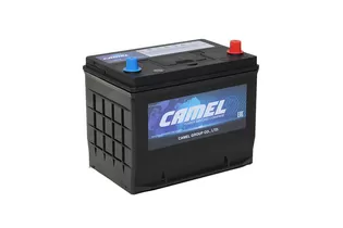 CAMEL Asia 105D26L 81 A/h 730 А R+ 260x172x221мм