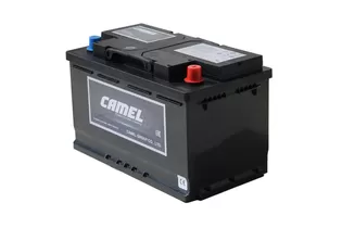 Camel EFB LN4 80 A/h 750 A R+ 315x175x190 мм
