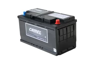Camel EFB LN5 92 A/h 800 A R+ 353x175x190 мм