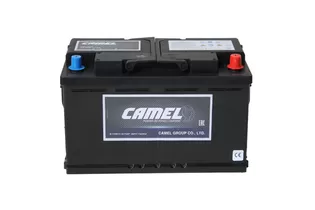 Camel EFB LN5 92 A/h 800 A R+ 353x175x190 мм