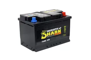 Shark Plus 75 A/h 680 A R+ 278x175x190 мм