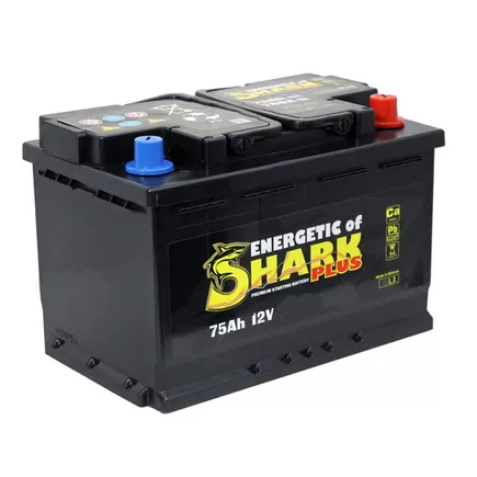 Shark Plus 75 A/h 680 A R+ 278x175x190 мм