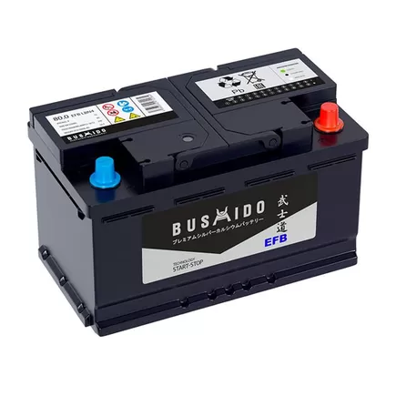 Bushido EFB 80 A/h 790 A R+ 315x175x175 мм