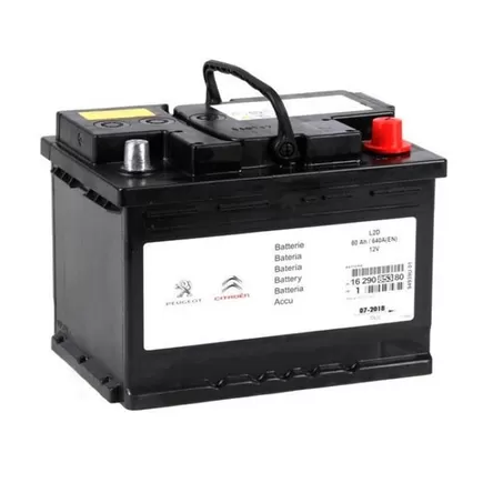 Peugeot/Citroen PSA 5600TJ 60 A/h 640 A R+ 242x175x190 мм