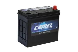 Camel Asia 60B24L 48 A/h 430 A R+ 238x128x220 mm