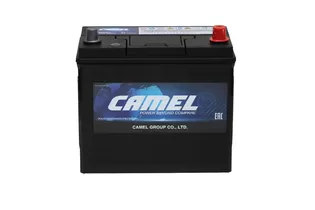 Camel Asia 60B24L 48 A/h 430 A R+ 238x128x220 mm