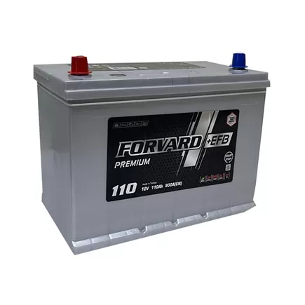 Forvard EFB Asia 110 A/h 900 A L+ 310x175x220 мм