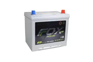 Foxaccum EFB Asia 65 A/h 550 A R+ 230x175x220 мм