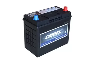 Camel AGM Asia B24L 45 A/h 400 A R+ 237x127x200(220) mm