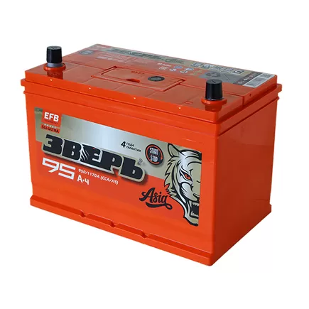 Зверь EFB Азия 6СТ-95 Рус. 95 A/h 950 A L+ 310x175x220 mm