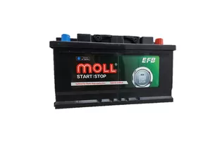 MOLL EFB 6-QTPE-75 75 A/h 700 A R+ 315x175x175 мм