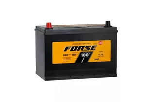 Forse Asia 125D31R 100 A/h 860 A L+ 310x173x204 мм