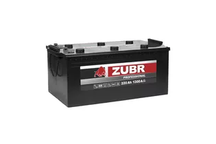 ZUBR Professional МАЗ под болт 220 A/h 1300 А R+ 513x223x220 мм