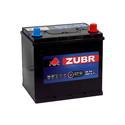 Zubr EFB Asia 65 A/h 650 A R+ 230x175x220 мм