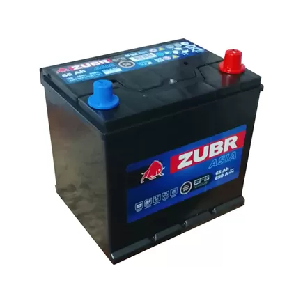 Zubr EFB Asia 65 A/h 650 A R+ 230x175x220 мм