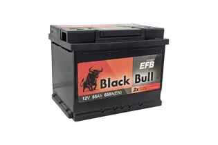 Black Bull EFB 65 A/h 650 A R+ 242x175x190 мм