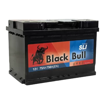 Black Bull SLI 75 A/h 750 A R+ 242х175х190 мм