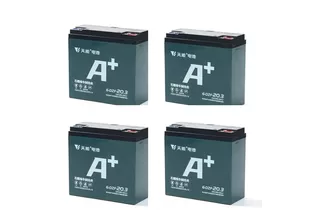 Комплект гелевых аккумуляторов Tianneng 6-DZF-20.3 (48В/20.3 А·ч)