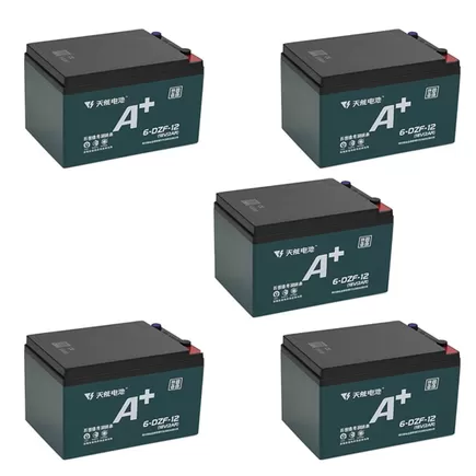 Комплект гелевых аккумуляторов Tianneng 6-DZF-12.3 (60В/12.3 А·ч)