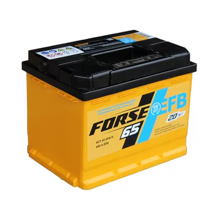 Forse EFB 65 A/h 660 A R+ 242x175x190 мм