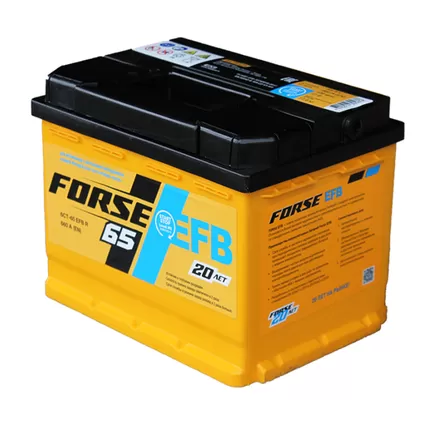Forse EFB 65 A/h 660 A R+ 242x175x190 мм