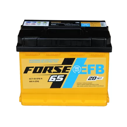 Forse EFB 65 A/h 660 A R+ 242x175x190 мм