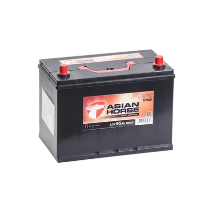 Asian Horse 95 A/h 800 A R+ 305x175x225 мм