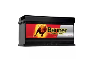 Banner Power Bull P95 33 95 A/h 760 А R+ 354x175x190 мм